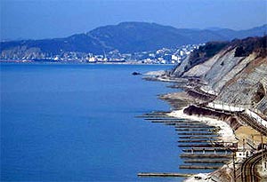 Magri